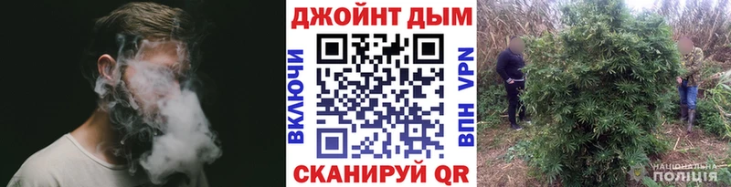 Каннабис MAZAR  Берёзовский 